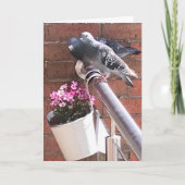 ハトと花の挨拶  カード (正面)