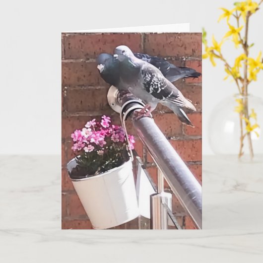 ハトと花の挨拶  カード (黄色い花)