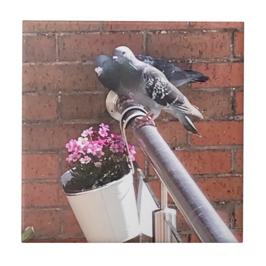 ハトと赤いユキノシタの花 タイル (正面)