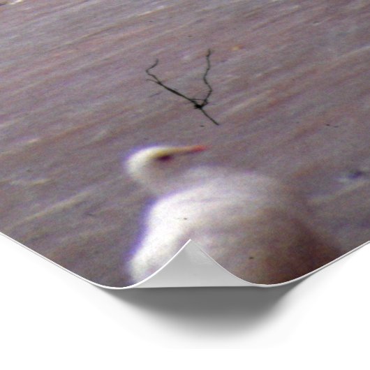 ハトと踊る ポスター (角)