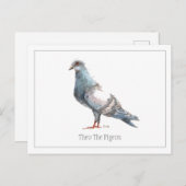 ハトのはがき ポストカード (正面/裏面)
