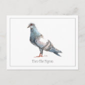 ハトのはがき ポストカード (正面)