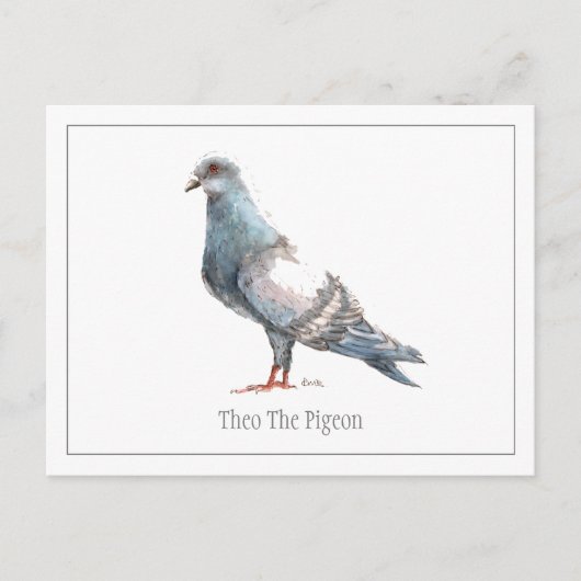 ハトのはがき ポストカード (正面)