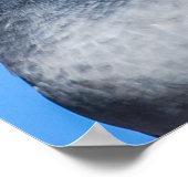 ハトのキスをするカップル ポスター (角)