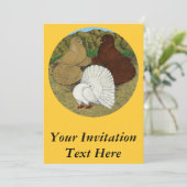 ハトのコンボ 招待状 (スタンド正面)