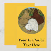 ハトのコンボ 招待状 (正面/裏面)