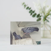 ハトのネスティング – ハガキ ポストカード (スタンド正面)