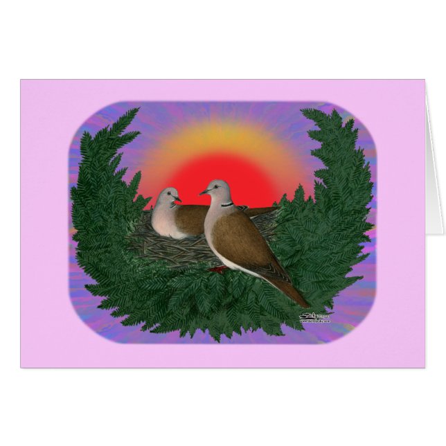 ハトのネスト (正面横)