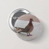 ハトのボタン 缶バッジ (正面&裏面)