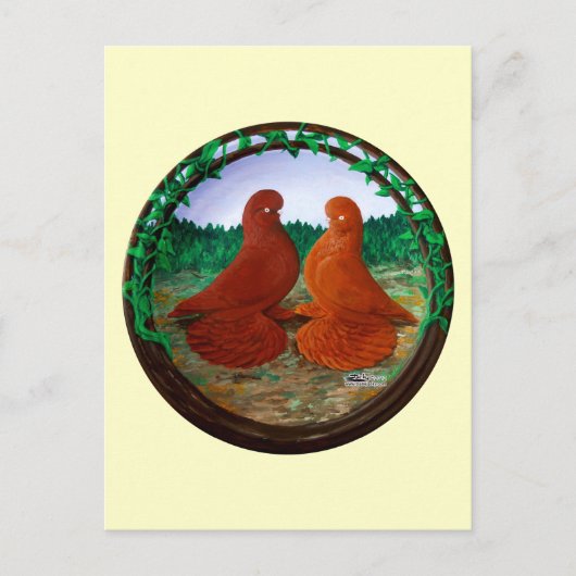 ハトのマフ2 ポストカード (正面)