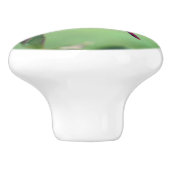 ハトの実の上に鳴く赤いトンボ  セラミックノブ (側面)