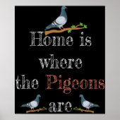 ハトの恋人ハトのレーシングギフトハトの繁殖 ポスター (正面)