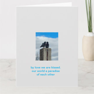 ハトの愛 カード