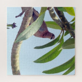 ハトの木絵画のパズル ジグソーパズル (横)