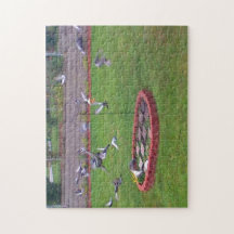 ハトの着地離陸バードフィーダパズル