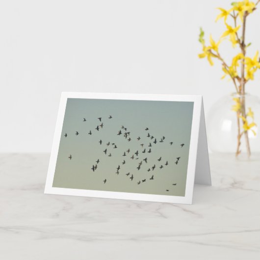 ハトの群れ カード (黄色い花)