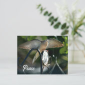 ハトの翼が平和の写真を広げる ポストカード (スタンド正面)