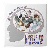 ハトの脳 タイル (正面)