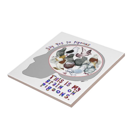 ハトの脳 タイル (側面)