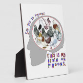 ハトの脳 フォトプラーク (側面)