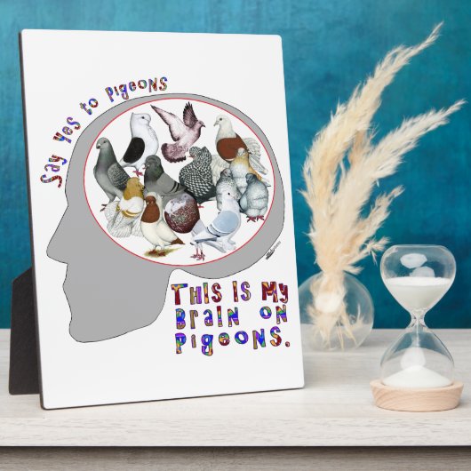 ハトの脳 フォトプラーク (側面)