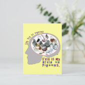 ハトの脳 ポストカード (スタンド正面)