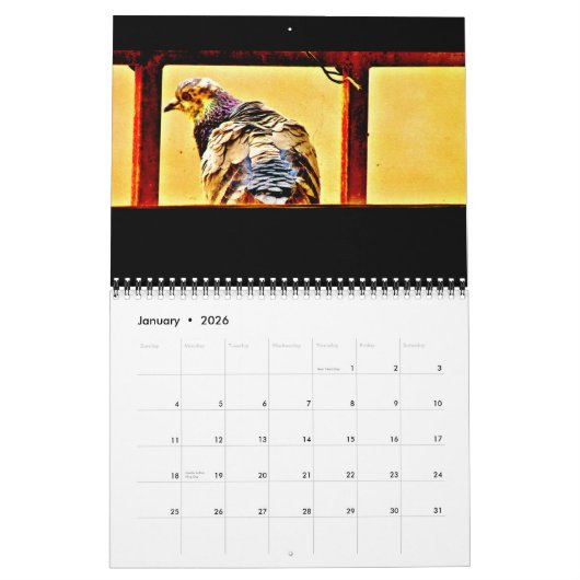 ハトの芸術 カレンダー (1月 2026)