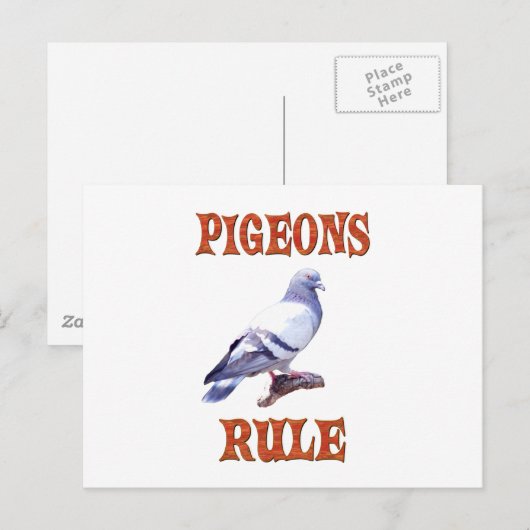 ハトの規則 ポストカード (正面/裏面)