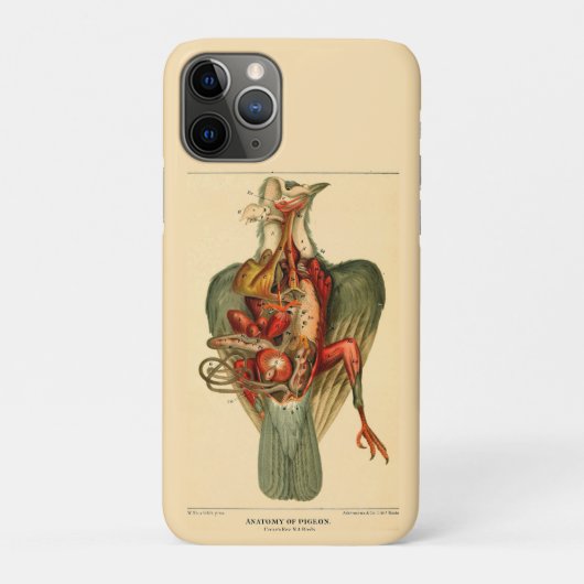 ハトの解剖図 Case-Mate iPhoneケース (裏)