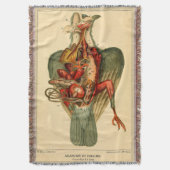 ハトの解剖学 スローブランケット (正面縦)