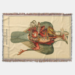 ハトの解剖学 スローブランケット