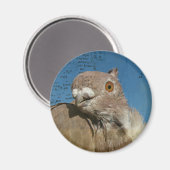 ハトの詩 マグネット (正面/裏面)