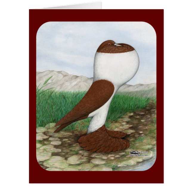 ハトの赤い花 (正面)