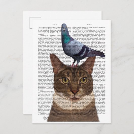 ハトの頭の猫 ポストカード (正面/裏面)