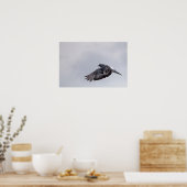 ハトの飛行中 ポスター (キッチン)