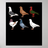 ハトの飼育ギフト男性ハトのレース鳩 ポスター (正面)