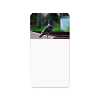 ハトの鳥羽動物 ラベル