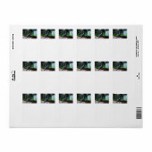 ハトの鳥羽動物 ラベル (フルシート)