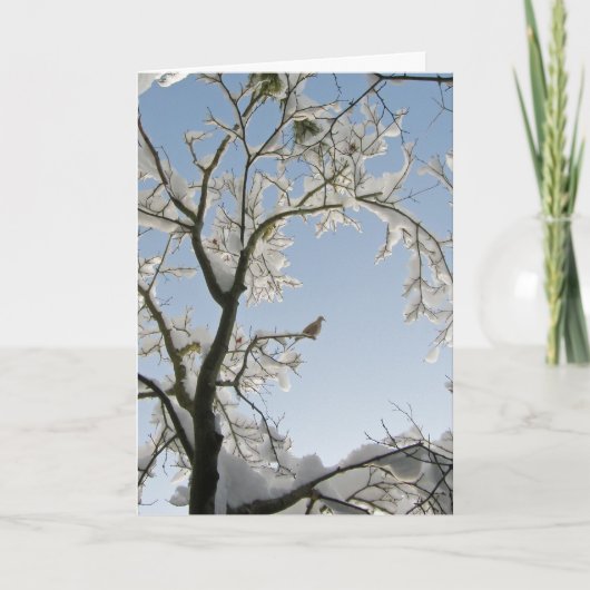 ハトは「ノエル」と答えた。 シーズンカード (正面)