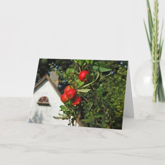 ハトりんごの挨拶状 カード (正面)