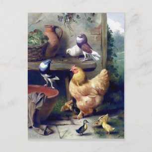 ハトをダチョウで結絵画ぶ野鳥 ポストカード