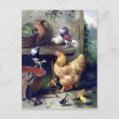 ハトをダチョウで結絵画ぶ野鳥 ポストカード (正面)