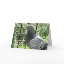 ハトカッコいいン誕生日