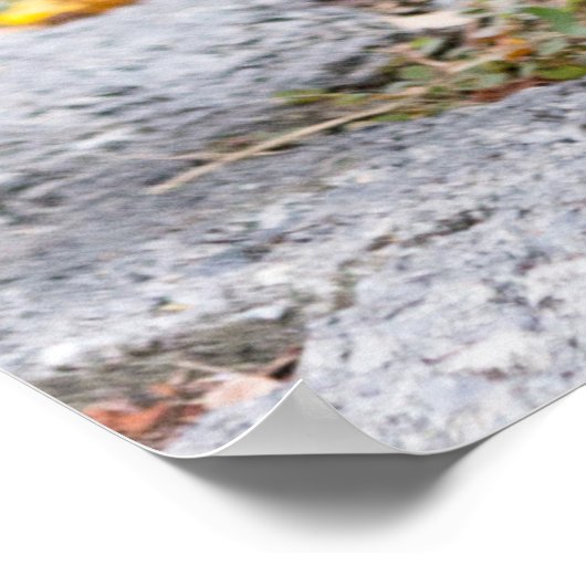 ハトキスをするイ ポスター (角)