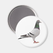 ハトデザイン マグネット (正面/裏面)