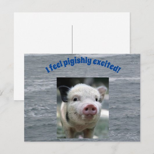 ハトハガキ ポストカード (正面/裏面)