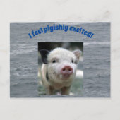 ハトハガキ ポストカード (正面)