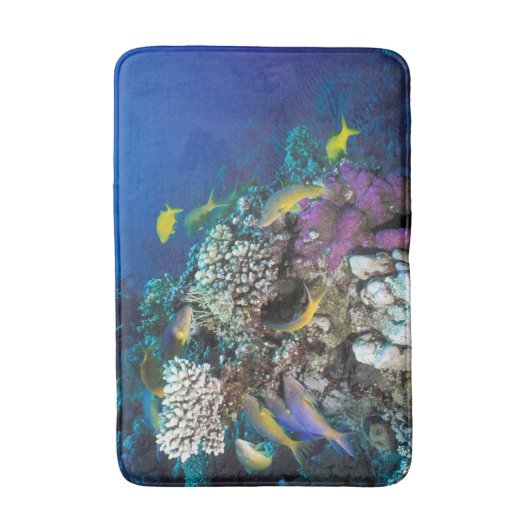 ハトフィッシュが群のまわりにれをなす小さな珊瑚 バスマット (正面縦)