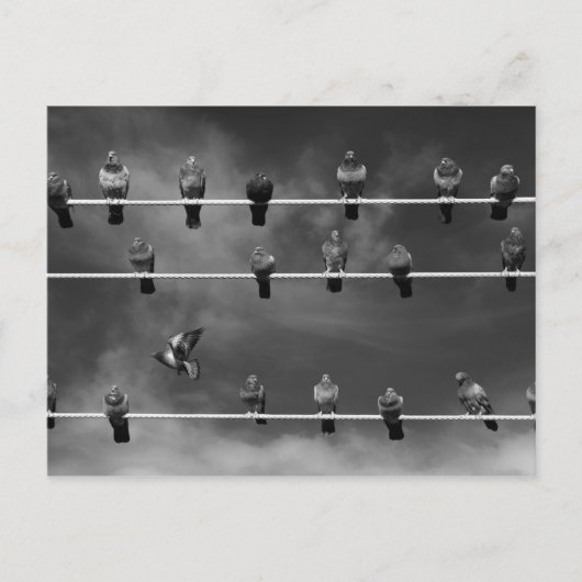 ハトフースボールポストカード ポストカード (正面)