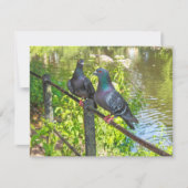 ハト二羽。ロースパークレイク，カーディフ，ウェールズ (正面)